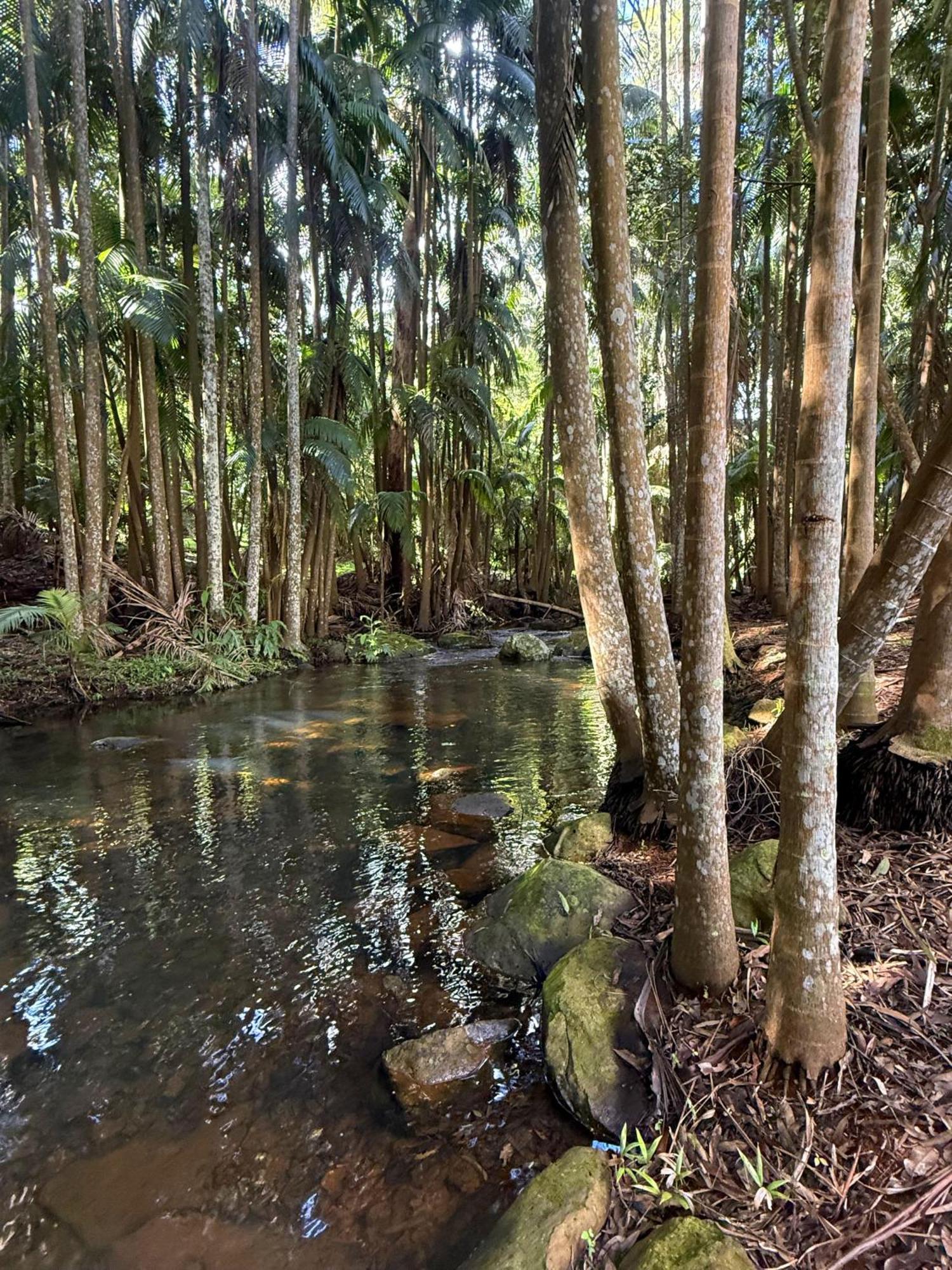 Hotel Mt Tamborine Stonehaven Manor Gold Coast Exteriér fotografie