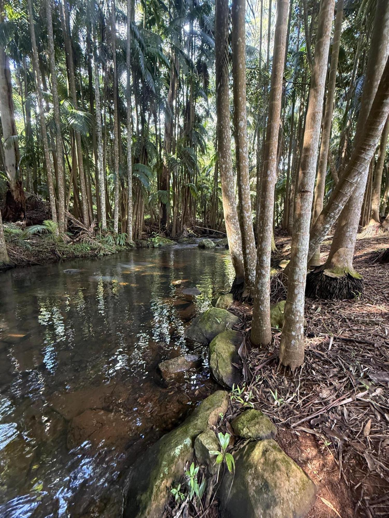 Hotel Mt Tamborine Stonehaven Manor Gold Coast Exteriér fotografie